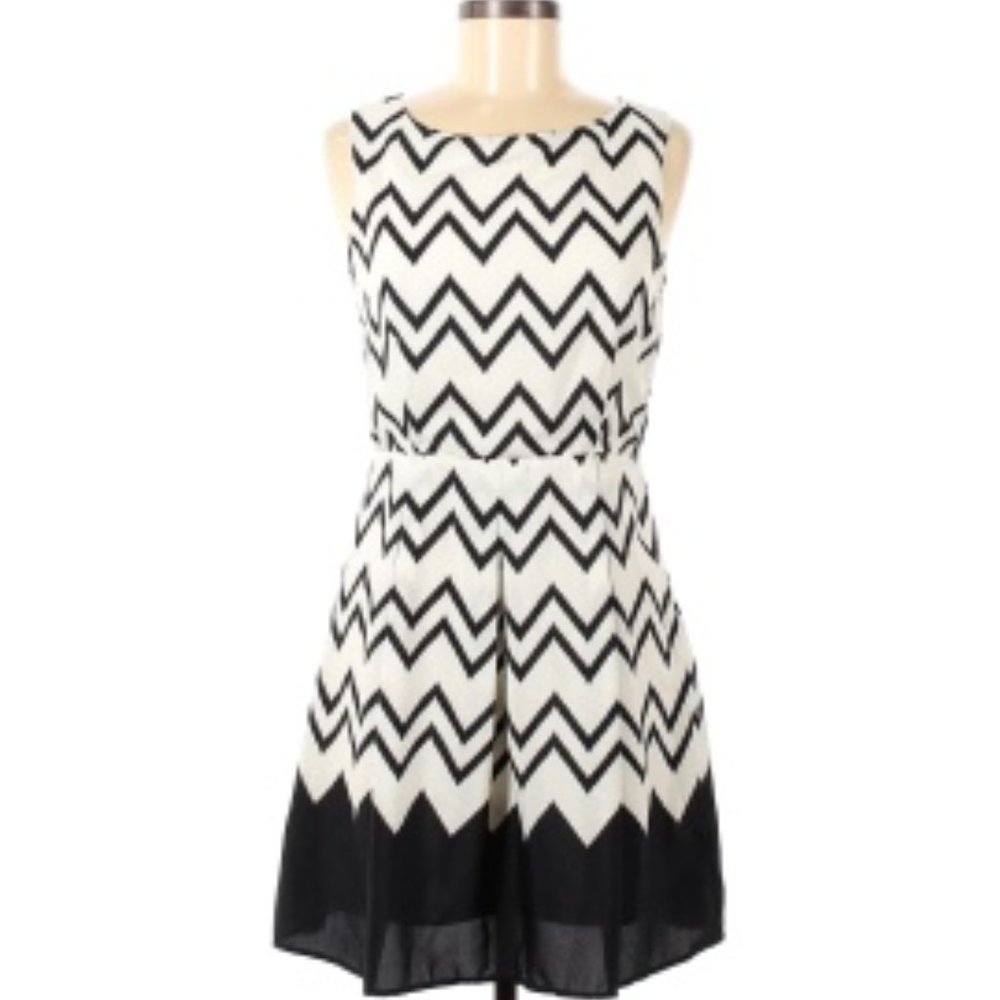 Pink Owl Chevron Pleat Dress